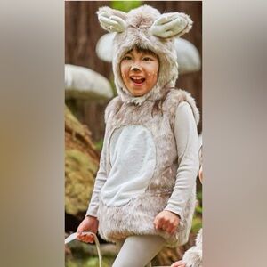 Pottery Barn Kids Deer Animal Costume